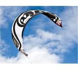 Kite im Test: Obsession 10.5 (2011) von RRD, Testberichte.de-Note: ohne Endnote
