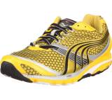 Complete Concinnity 4