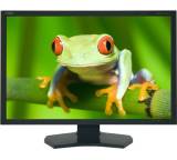 Monitor im Test: SpectraView 231 von NEC, Testberichte.de-Note: 1.7 Gut