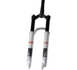 Fahrradgabel im Test: XRM 100 Twin Shot von DT-Swiss, Testberichte.de-Note: ohne Endnote