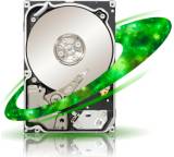 Constellation 2 ST91000640SS (1 TB)