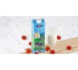 Milch im Test: Frische fettarme Milch von Aldi Süd / Milfina, Testberichte.de-Note: 2.7 Befriedigend