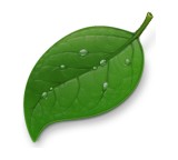 Internet-Software im Test: Coda 1.7 von Panic, Testberichte.de-Note: 1.0 Sehr gut