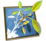 Mindnode 1.6