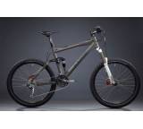 Hornet (Modell 2011)