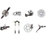 XX-Gruppe (Modell 2011)