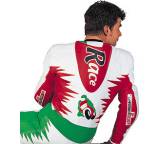 Motorradkombi im Test: GP Premio Racing von Schwabenleder, Testberichte.de-Note: 1.0 Sehr gut