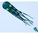 Drachen im Test: Mini Octopus von Wolkenstürmer, Testberichte.de-Note: ohne Endnote