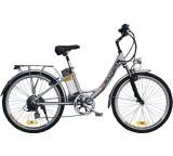 E-Racer Comfort (Modell 2011)