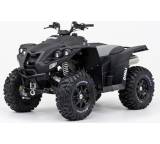 Quad im Test: Centhor 800 Evolution 4x4 (31 kW) von Dinli Metal Industrial, Testberichte.de-Note: ohne Endnote