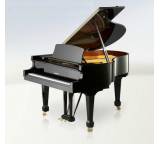 W. HOFFMANN Tradition T.177