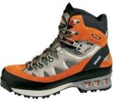 Alpine Trek GTX