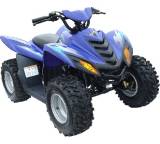 Quad im Test: Cobia DL 503 (3 kW) von Dinli Metal Industrial, Testberichte.de-Note: ohne Endnote