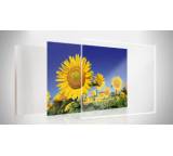 Bilderdienst im Test: Foto hinter Acryl-Glas von klick.de, Testberichte.de-Note: 2.0 Gut