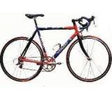 Fahrrad im Test: Pro Team SL von Rowona, Testberichte.de-Note: ohne Endnote