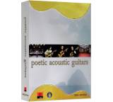 Poetic Acoustic Guitars