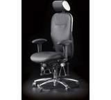 Bioswing 460 edition