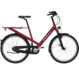 Culture Hybrid Rohloff