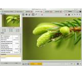 Bildbearbeitungsprogramm im Test: RAW Therapee 4 von Gábor Horváth, Testberichte.de-Note: 3.3 Befriedigend