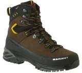 Appalachian 3S GTX Men