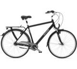 City Cruiser Comfort - Shimano Nexus 8 (Modell 2012)