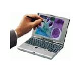 LifeBook B-110 Biblo