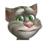 App im Test: Talking Tom Cat 2 von Outfit7, Testberichte.de-Note: 2.0 Gut