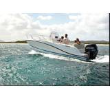 Motorboot im Test: Quicksilver Activ 605 Open von Brunswick Marine, Testberichte.de-Note: ohne Endnote