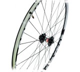 Stryker TCS Cross Country 29