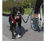 Weiteres Fahrrad-Zubehör im Test: Biker-Set de Luxe 1287 von Trixie, Testberichte.de-Note: 1.6 Gut