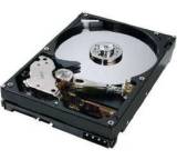 Deskstar T7K250 HDT722516DLAT80 (160 GB)