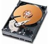 Caviar SE WD3200JB (320 GB)