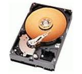 Caviar SE WD800JB (80 GB)