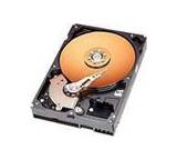 Caviar SE WD1600JB (160 GB)