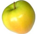 Obst im Test: Golden Delicious von Kaufland, Testberichte.de-Note: ohne Endnote