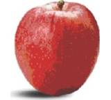 Obst im Test: Royal Gala von Kaufland, Testberichte.de-Note: ohne Endnote