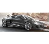 R8 Spyder 4.2 FSI quattro 6-Gang manuell (316 kW) [06]