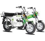 Motorroller im Test: Elmax (1 kW) (Modell 2012) von Skyteam, Testberichte.de-Note: ohne Endnote