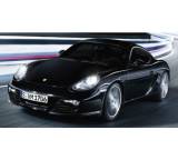 Cayman PDK (195 kW) [05]