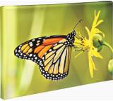 Fotoleinwand (30 x 20 cm)