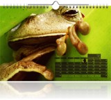 Monatskalender 50 x 75