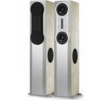 Lautsprecher im Test: Anniversary 300 Standlautsprecher von Arcus, Testberichte.de-Note: 2.0 Gut