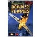 Down in Flames (für PC)