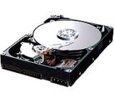 Spinpoint T133 HD400LJ (400 GB)