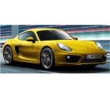 Cayman S 6-Gang manuell (239 kW) [13]