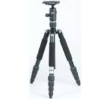 Vitruvian GTVGRN8265-5501-652