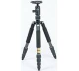 Vitruvian GTVGRN9265-5501-652