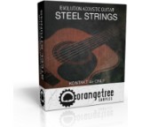 Evolution Acoustic Guitar - Steel Strings