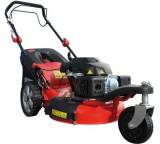 Big Wheeler 460 Trike