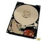 Festplatte im Test: Deskstar 5 von IBM, Testberichte.de-Note: 3.2 Befriedigend